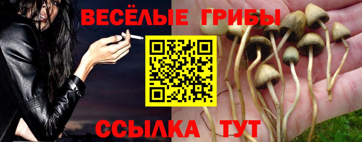 Псилоцибиновые грибы прущие грибы Артёмовский